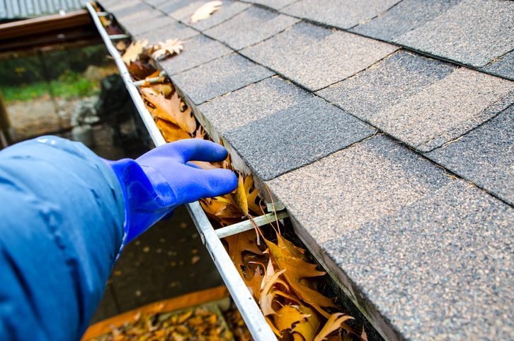 Gutter Cleaning Services in Stewartstown, PA